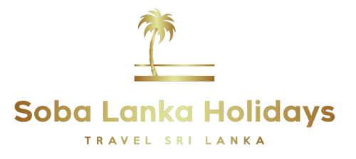 Travel & Tourism in Sri Lanka