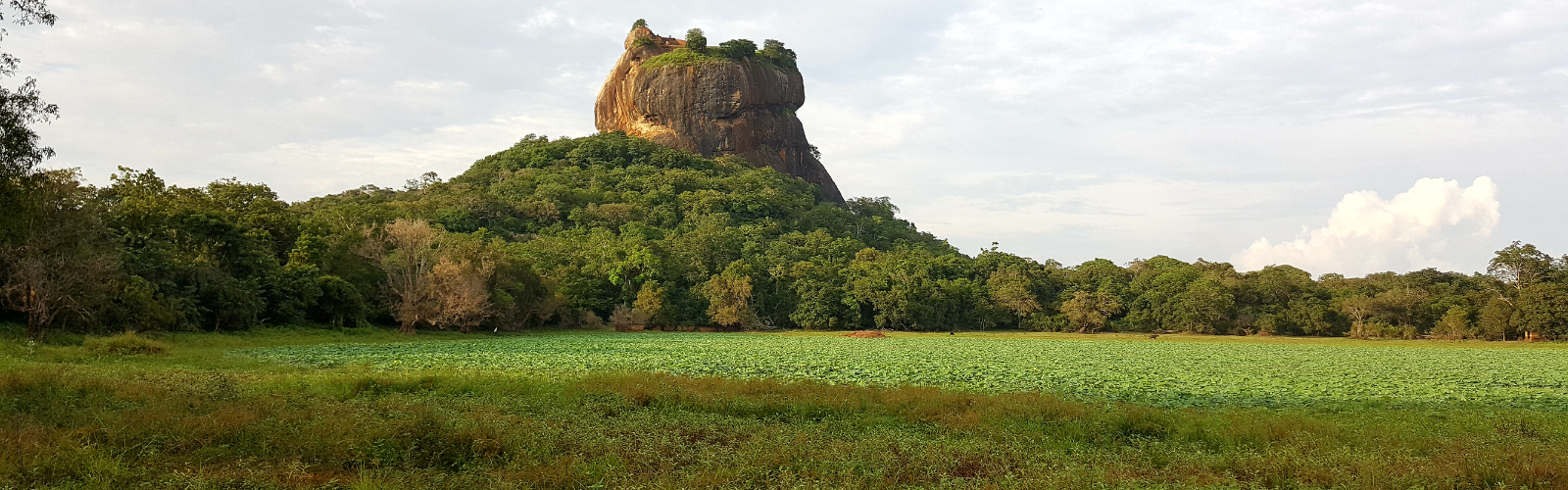 “Navigating Sri Lanka’s Diverse Cuisine”